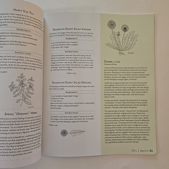 Taproot Magazine 2012 Issue 1 :Soil - Picture 5 of 5